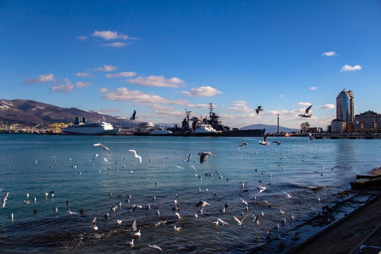 Setting Sail: A Guide to Smooth Cruise Ship Bookings & Reservations